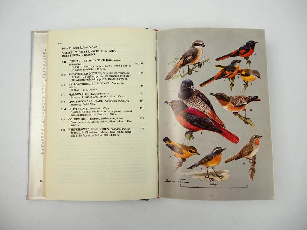Birds Of The Eastern Himalayas, Saim Ali, 1977
