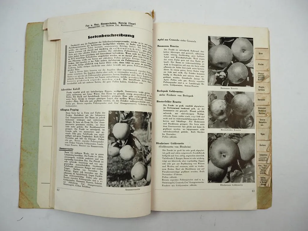 Christian Fey Meckenheim Das Baumschulbuch 1939/40 Katalog mit Preisliste