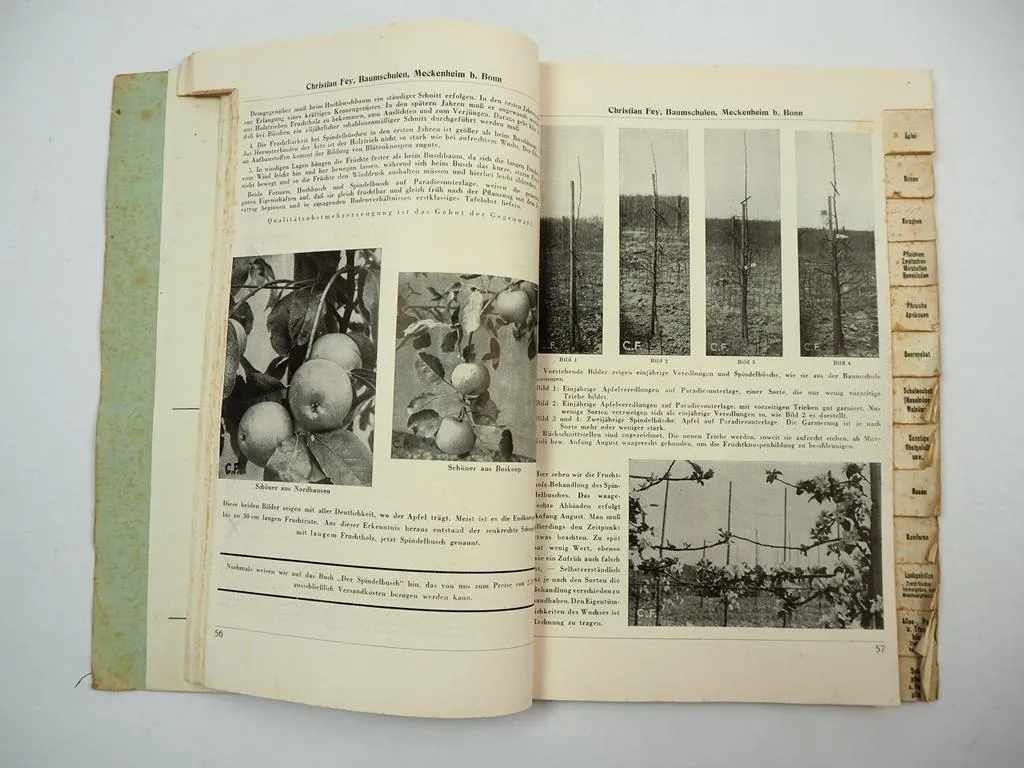 Christian Fey Meckenheim Das Baumschulbuch 1942 Katalog