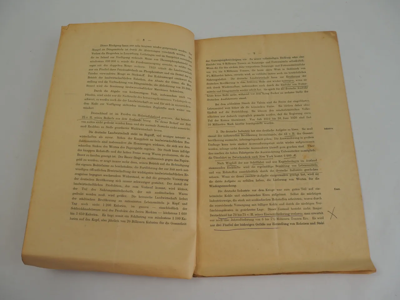 Denkschrift Zahlungsfähigkeit Deutschlands für die Wiedergutmachung 1920 Reichsdruckerei Berlin