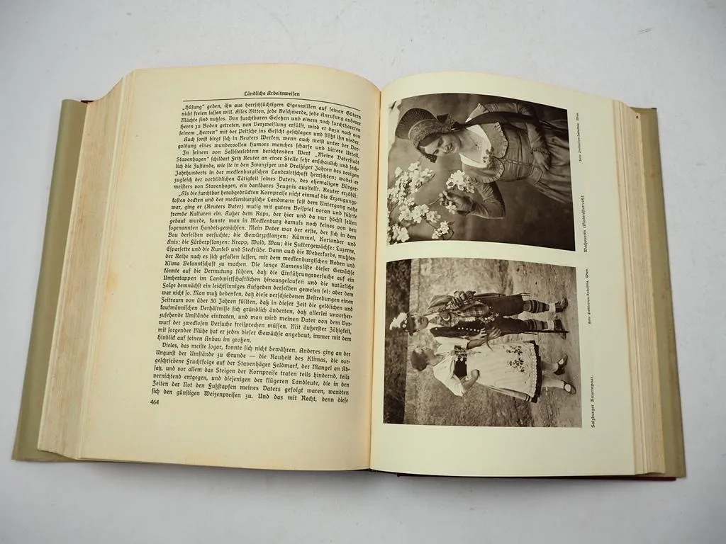 Deutsches Bauerntum Sein Werden Niedergang und Aufstieg 1935 Karl Scheda