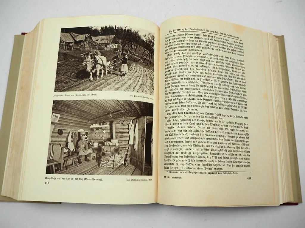 Deutsches Bauerntum Sein Werden Niedergang und Aufstieg 1935 Karl Scheda