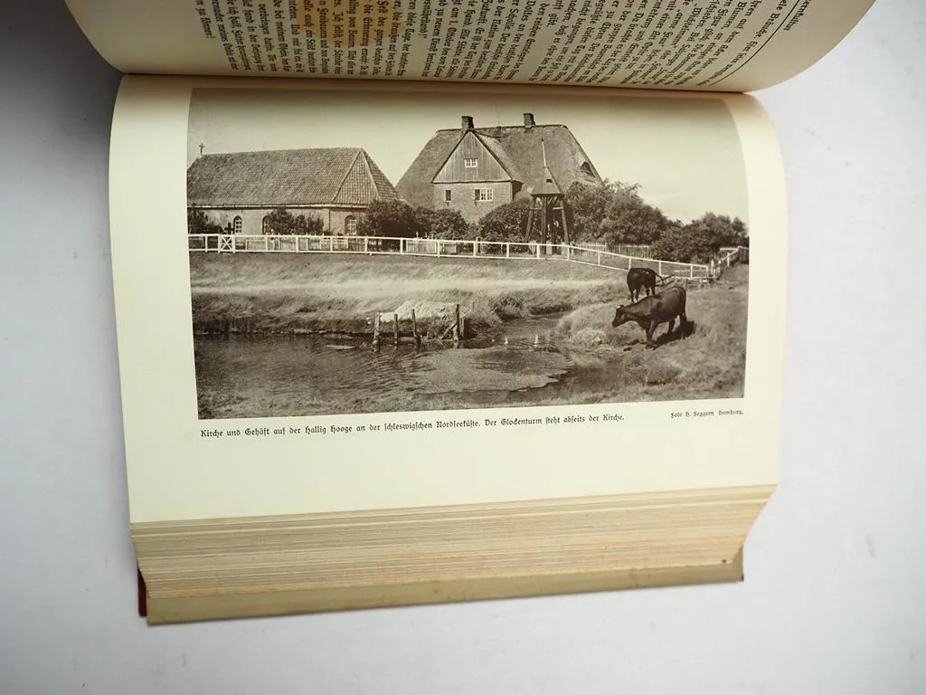 Deutsches Bauerntum Sein Werden Niedergang und Aufstieg 1935 Karl Scheda