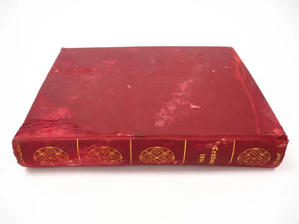 Die Cröllwitzer Papierfabrik Chronik Kröllwitz Halle Saale 1914