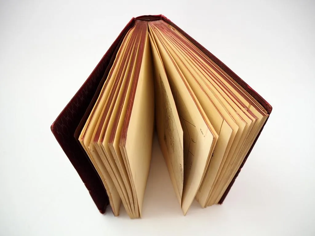 Die Cröllwitzer Papierfabrik Chronik Kröllwitz Halle Saale 1914