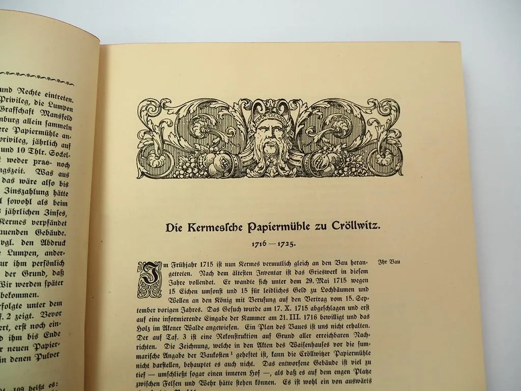 Die Cröllwitzer Papierfabrik Chronik Kröllwitz Halle Saale 1914
