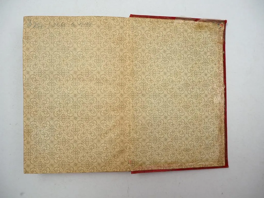 Die Wartburg Buch Hugo von Ritgen 1876 + Panoramakarte ca. 1870 Eisenach