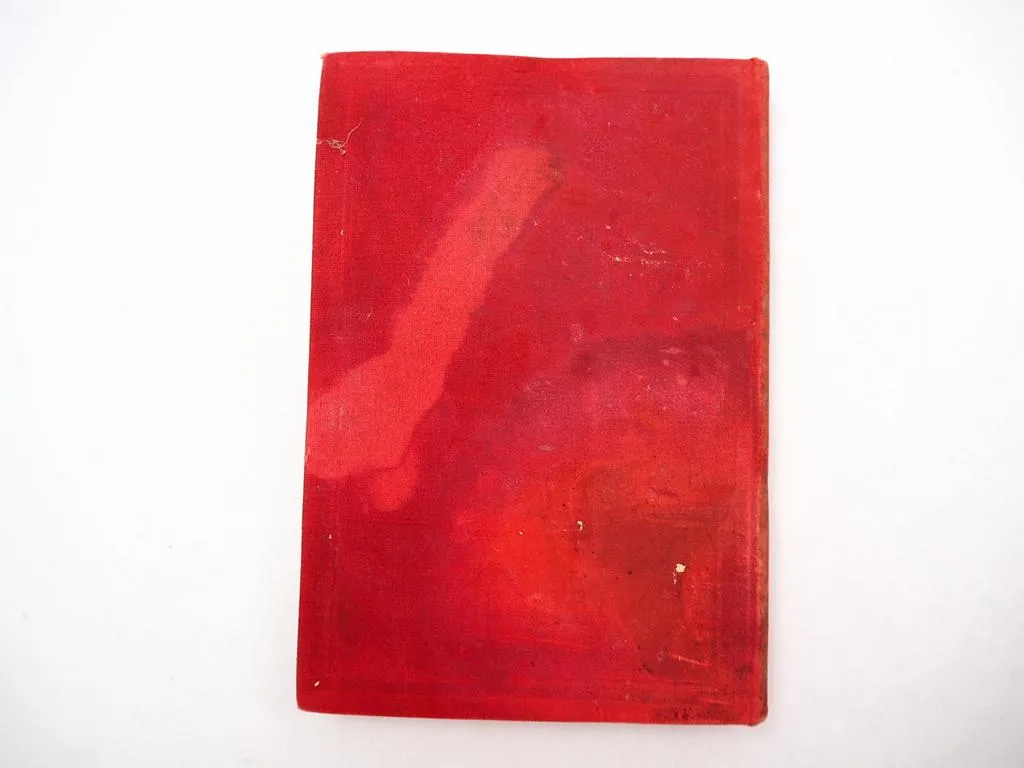 Die Wartburg Buch Hugo von Ritgen 1876 + Panoramakarte ca. 1870 Eisenach