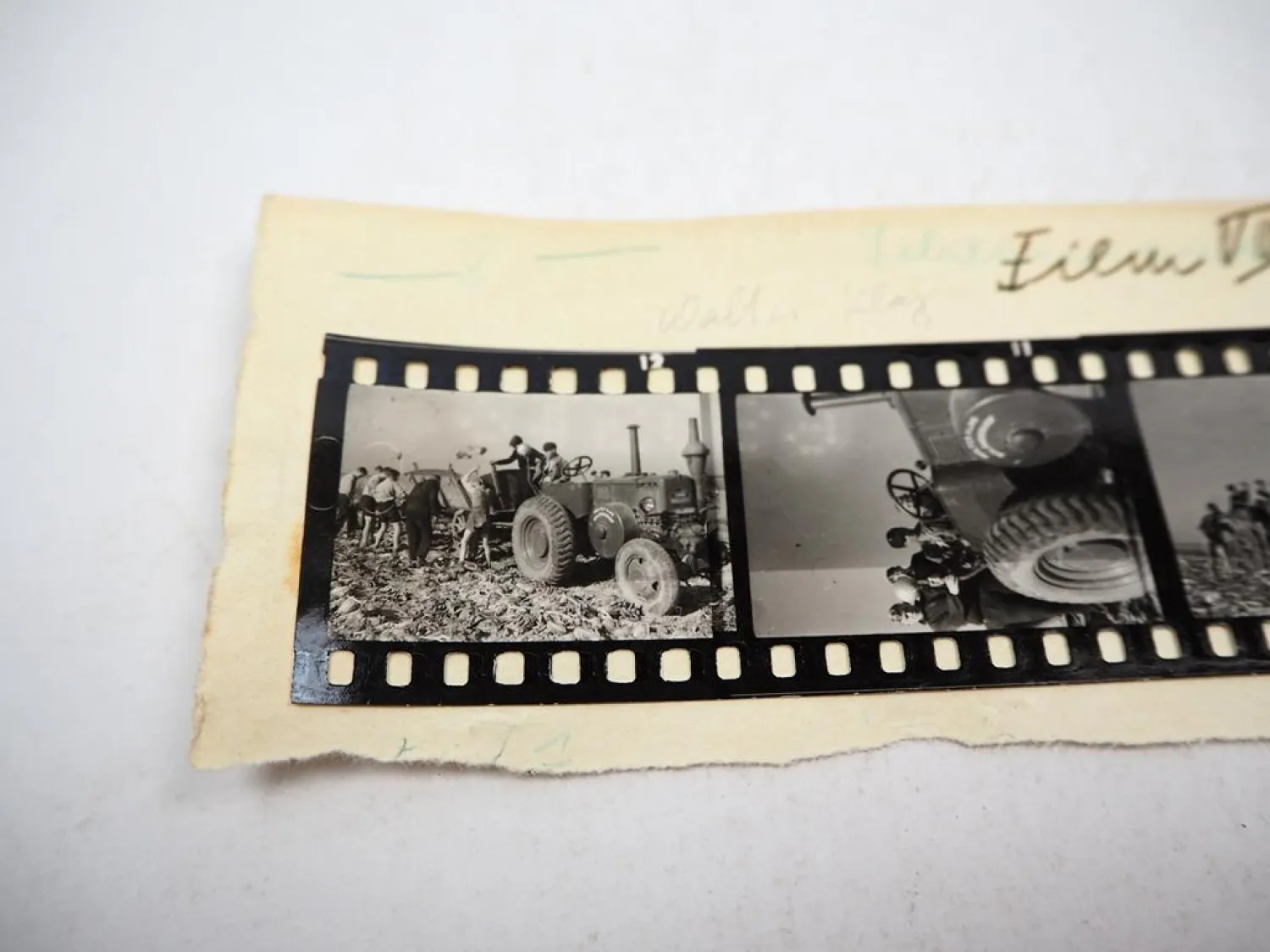 Filmpositive Lanz Bulldog ca. 1930/40 Walter Klag Bolanderhof Kirchheimbolanden