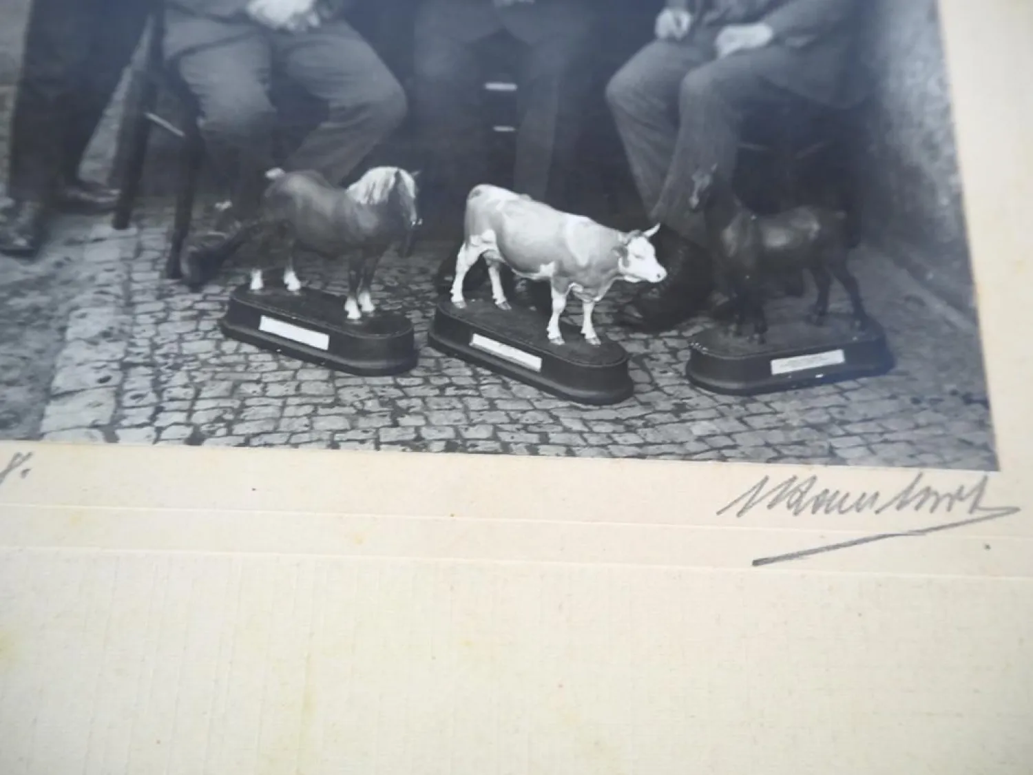 Foto wohl eine Landwirtschaftsschule 1928 mit Modellen von Pferd und Kuh