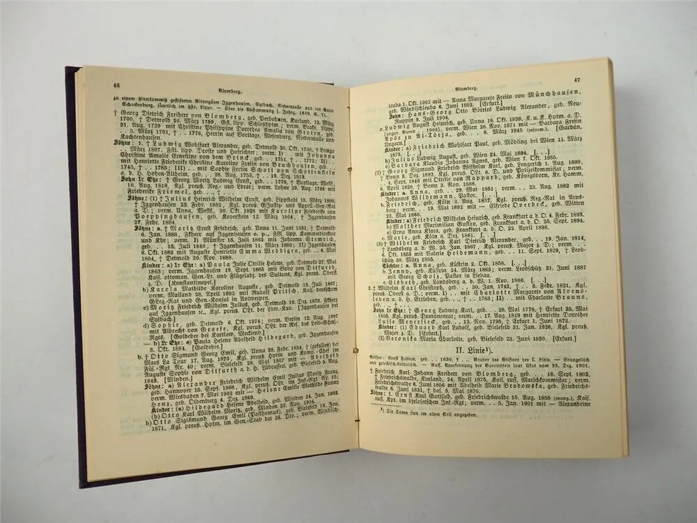 Freiherrliches Gothaisches Genealogisches Taschenbuch Perthes 1906 Adel
