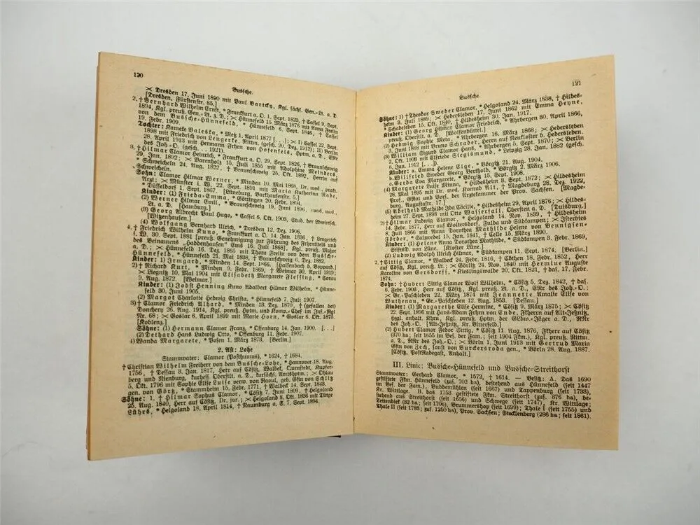 Freiherrliches Gothaisches Genealogisches Taschenbuch Perthes 1926 Adel