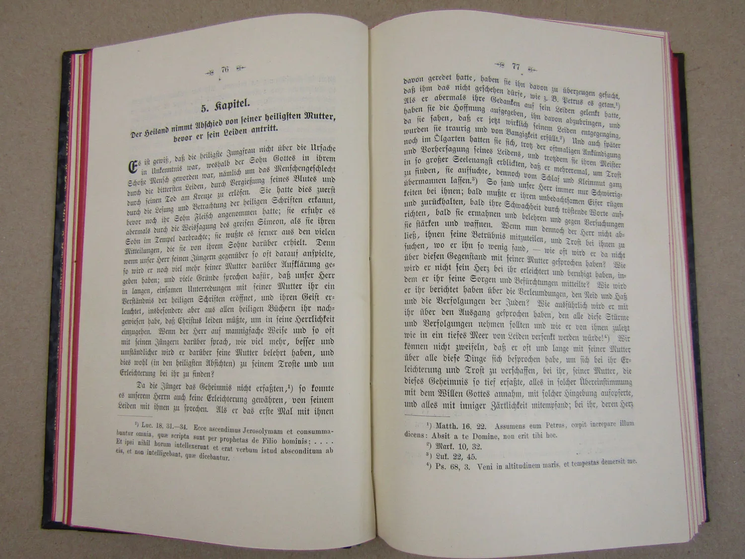 Geschichte des heiligen Leidens unseres Herrn Jesus Christus 1908