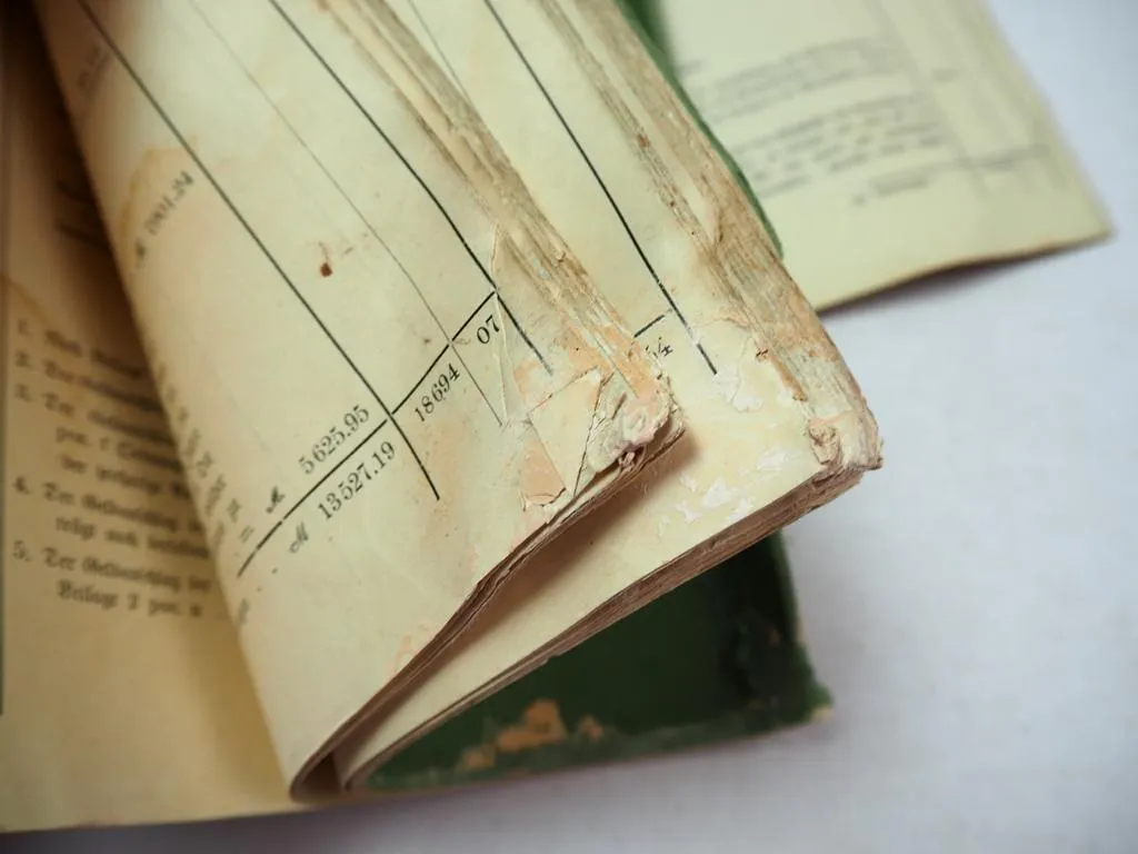 Gemeinde Gonsenheim bei Mainz Voranschlag über Einahmen & Ausgaben 1907/08