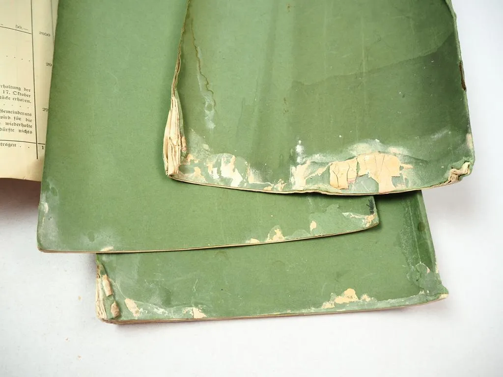 Gemeinde Gonsenheim bei Mainz Voranschlag über Einahmen & Ausgaben 1907/08