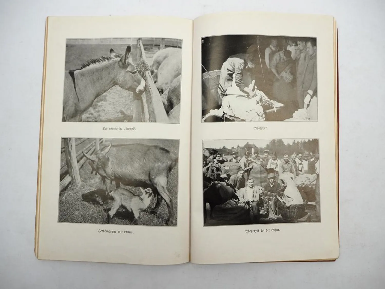 Jahresbericht Kreisackerbauschule Triesdorf Landwirtsch. Lehranstalten 1936/38