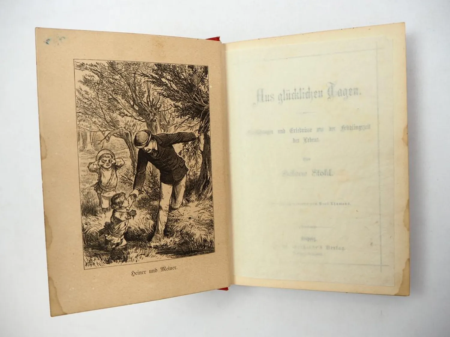 Jugendbuch Aus glücklichen Tagen Helene Stökl