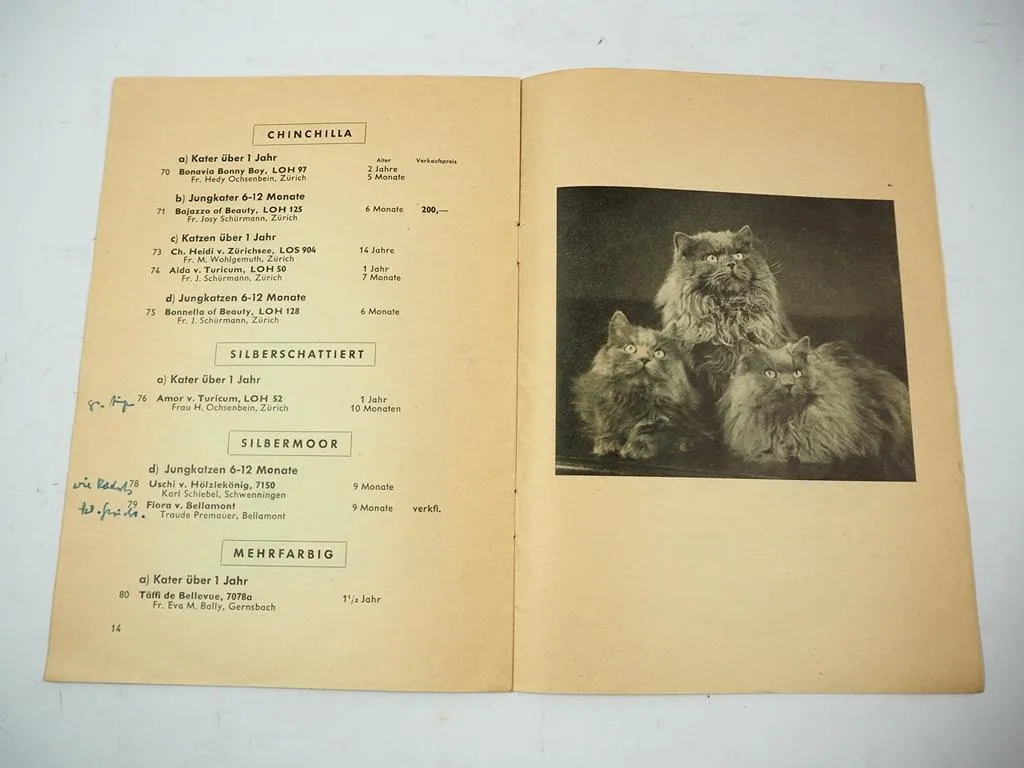 Katalog Internationale Rassekatzen Ausstellung Wiesbaden 1953