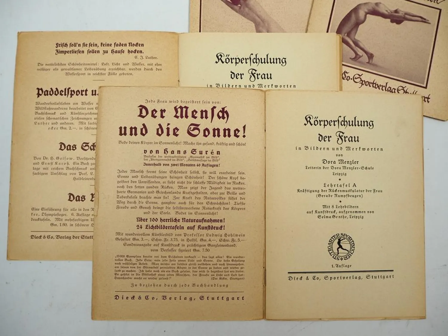 Körperschulung der Frau 1924 Dora Menzler Lehrtafeln Dieck Sportverlag Stuttgart