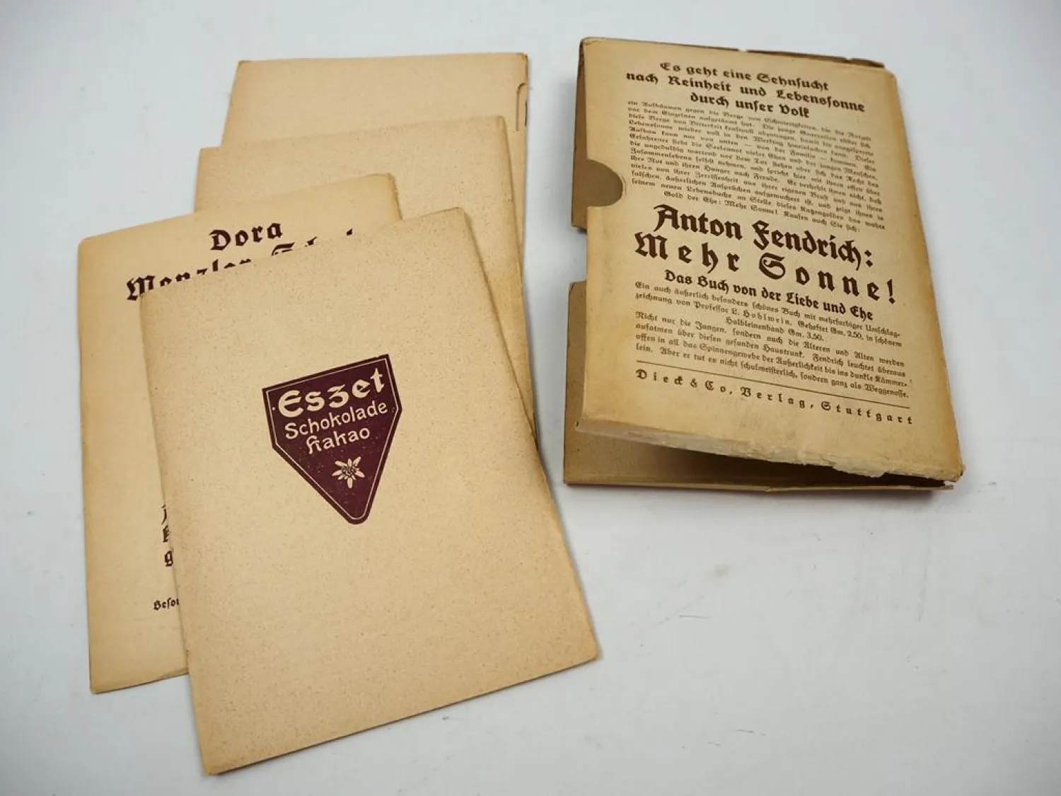 Körperschulung der Frau 1924 Dora Menzler Lehrtafeln Dieck Sportverlag Stuttgart