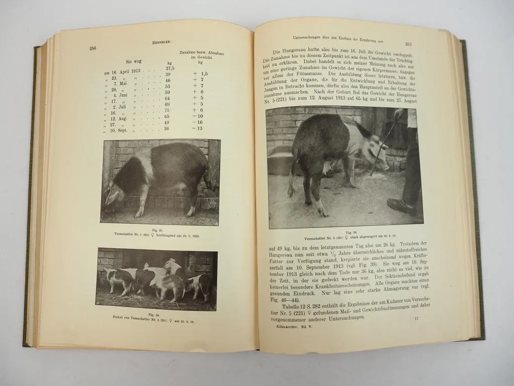 Landwirtschaftliches Institut Universität Halle Festschrift 50 Jahre 1914