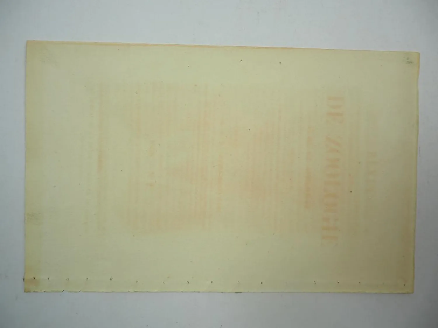 Lithographie Revue et Mag. de Zoologie 1858 Katze Felis margarita Bocourt Buquet