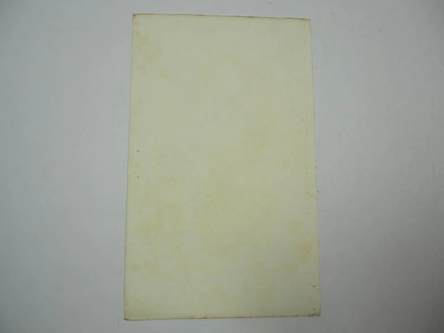 Lithographie Revue et Mag. de Zoologie 1858 Vogel Stoparola Malurus Bocourt