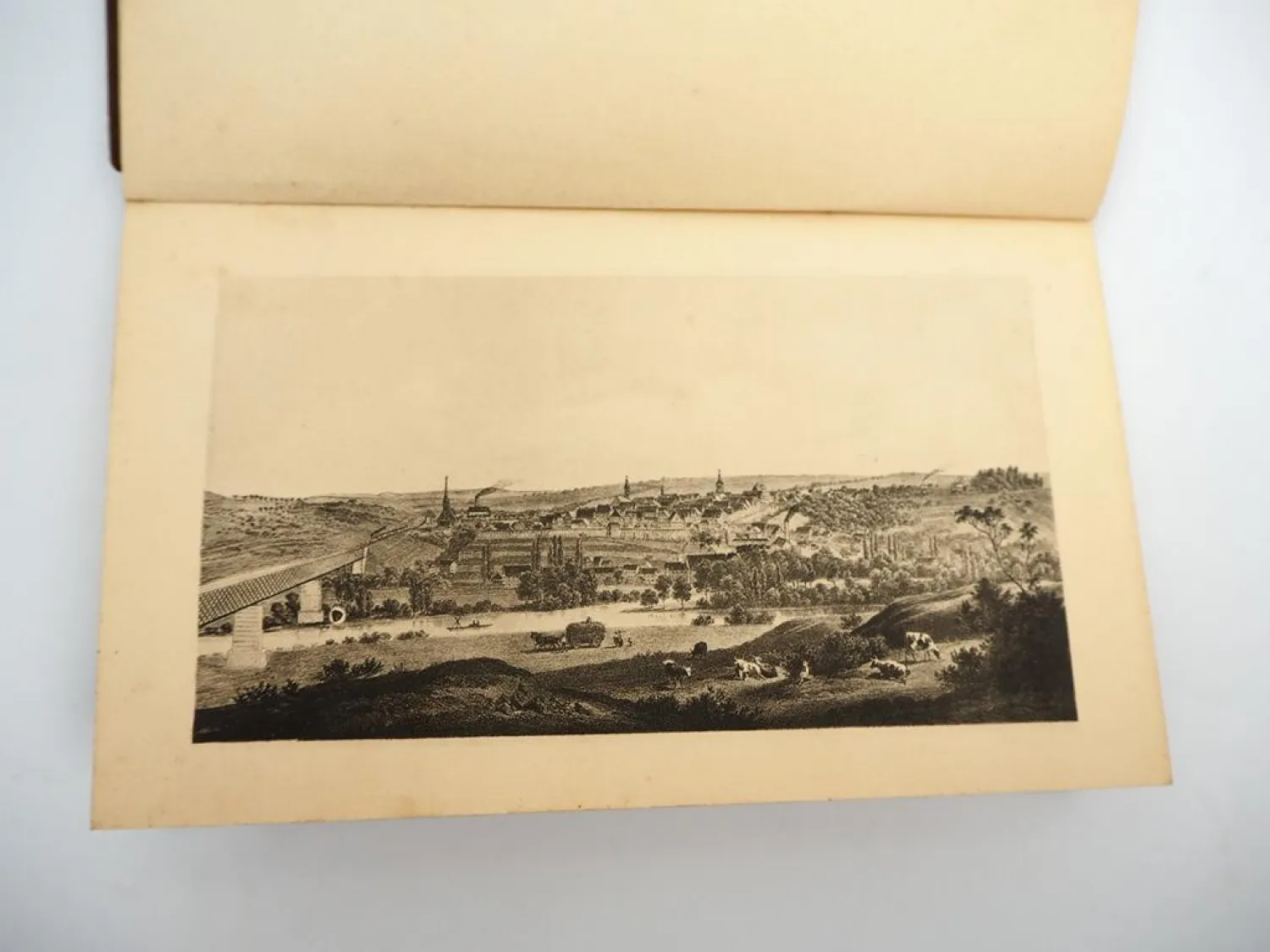 Marbach am Neckar Die Geburtsstadt Friedrich Schillers 1884