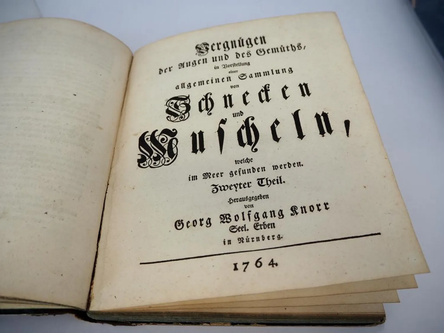Orig. Buch Georg Wolfgang Knorr 1757 - 69 Muscheln und andere Geschöpfe Nürnberg