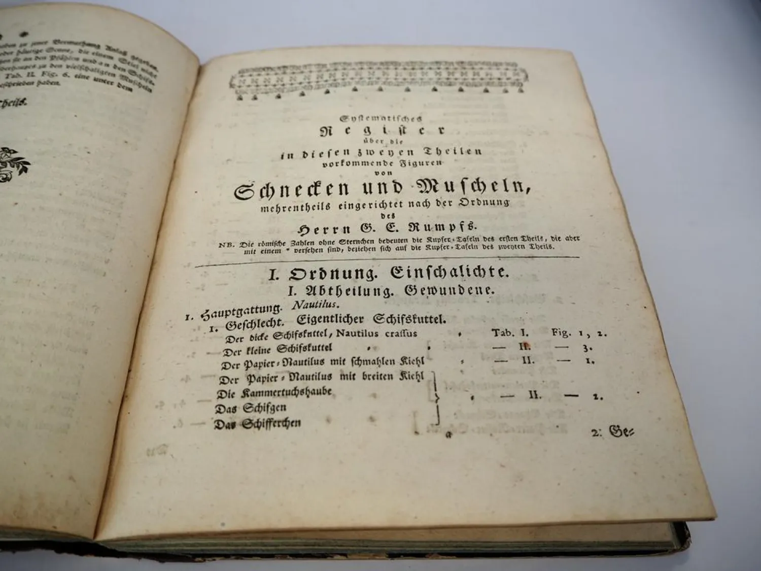 Orig. Buch Georg Wolfgang Knorr 1757 - 69 Muscheln und andere Geschöpfe Nürnberg