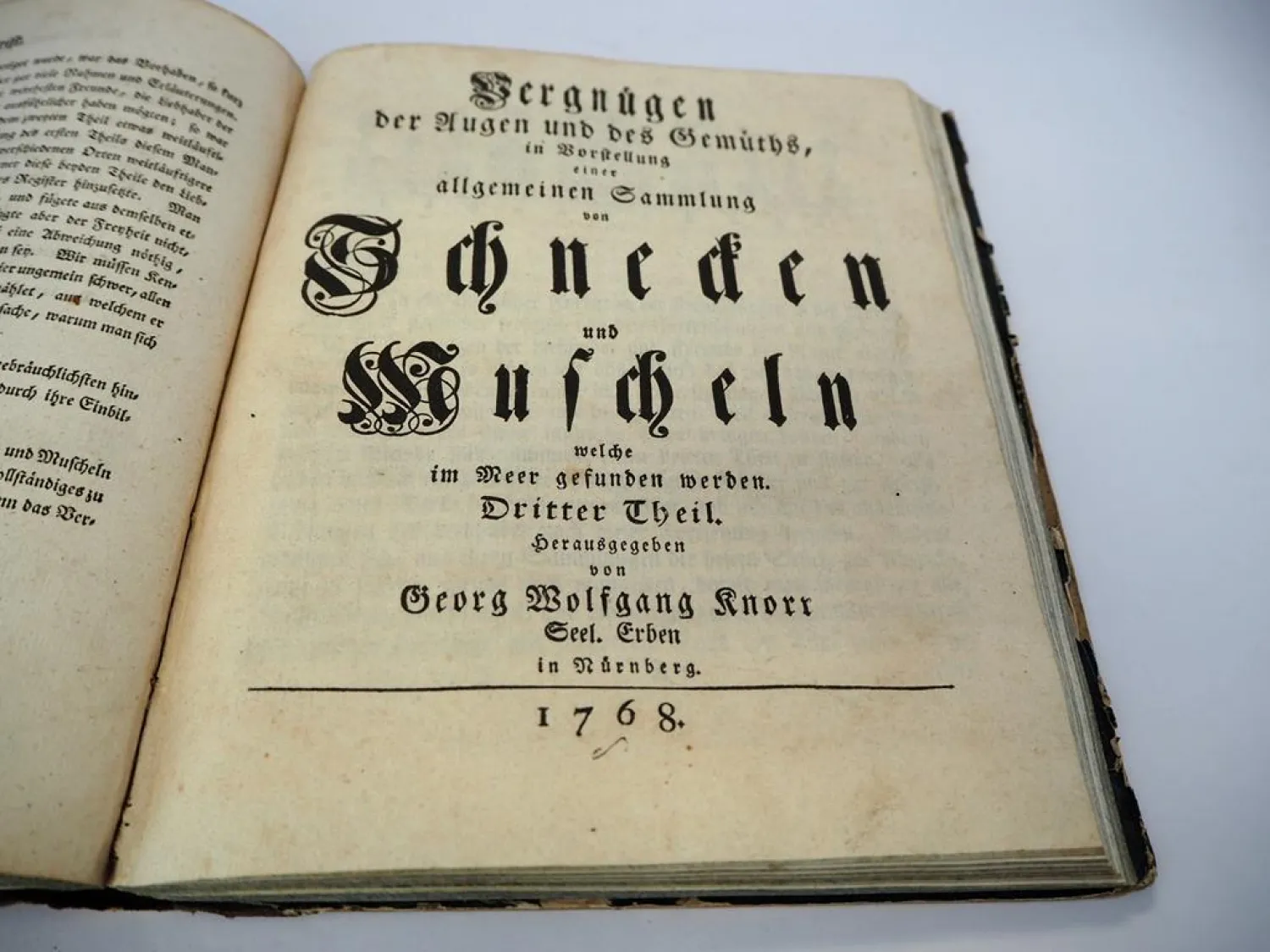 Orig. Buch Georg Wolfgang Knorr 1757 - 69 Muscheln und andere Geschöpfe Nürnberg