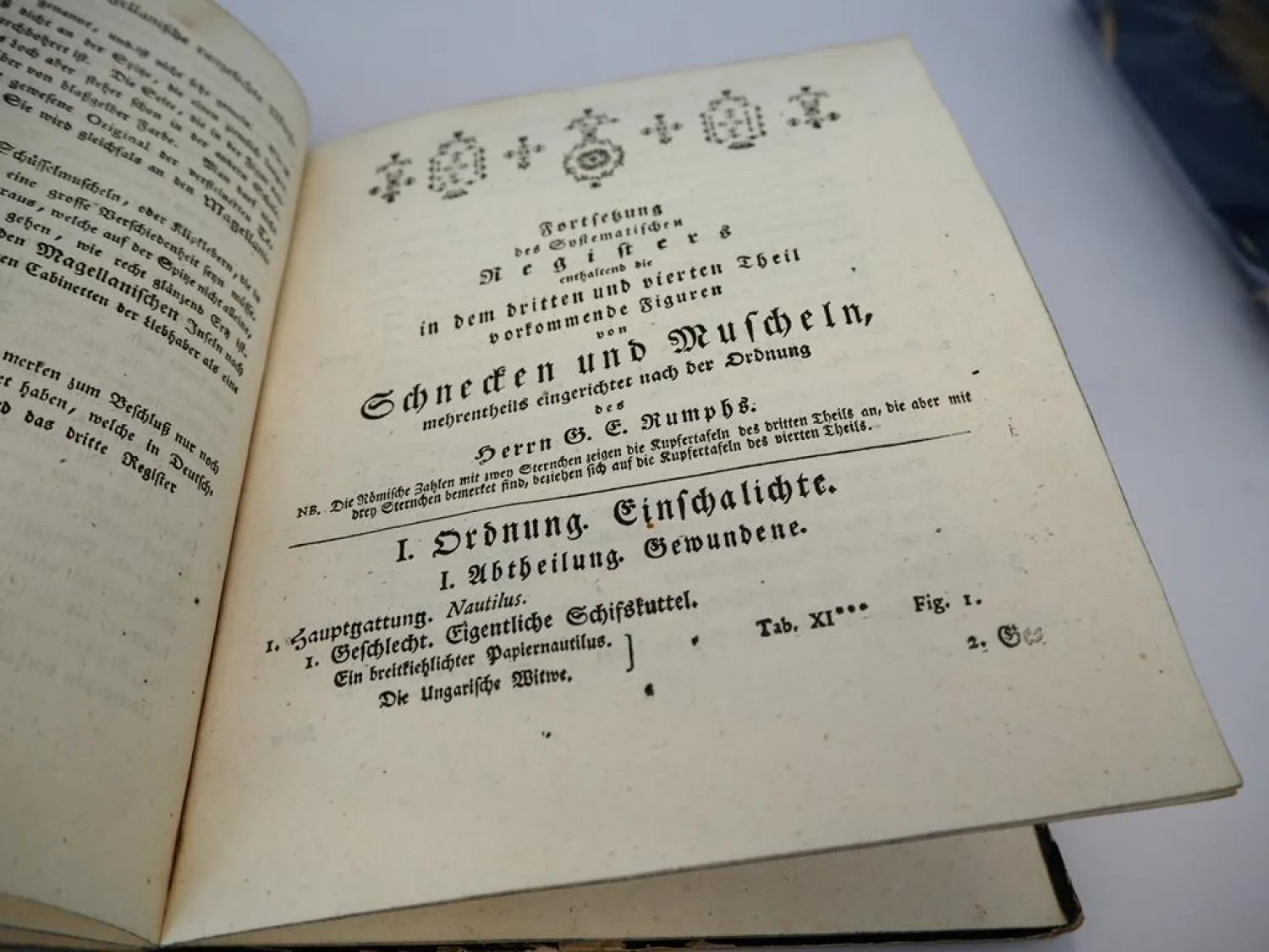 Orig. Buch Georg Wolfgang Knorr 1757 - 69 Muscheln und andere Geschöpfe Nürnberg