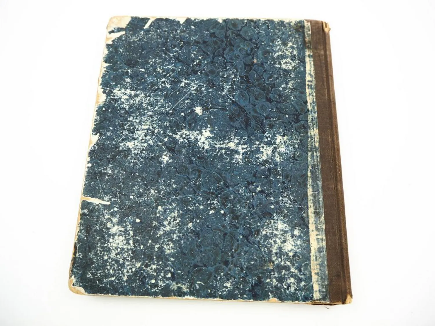 Orig. Buch Georg Wolfgang Knorr 1757 - 69 Muscheln und andere Geschöpfe Nürnberg
