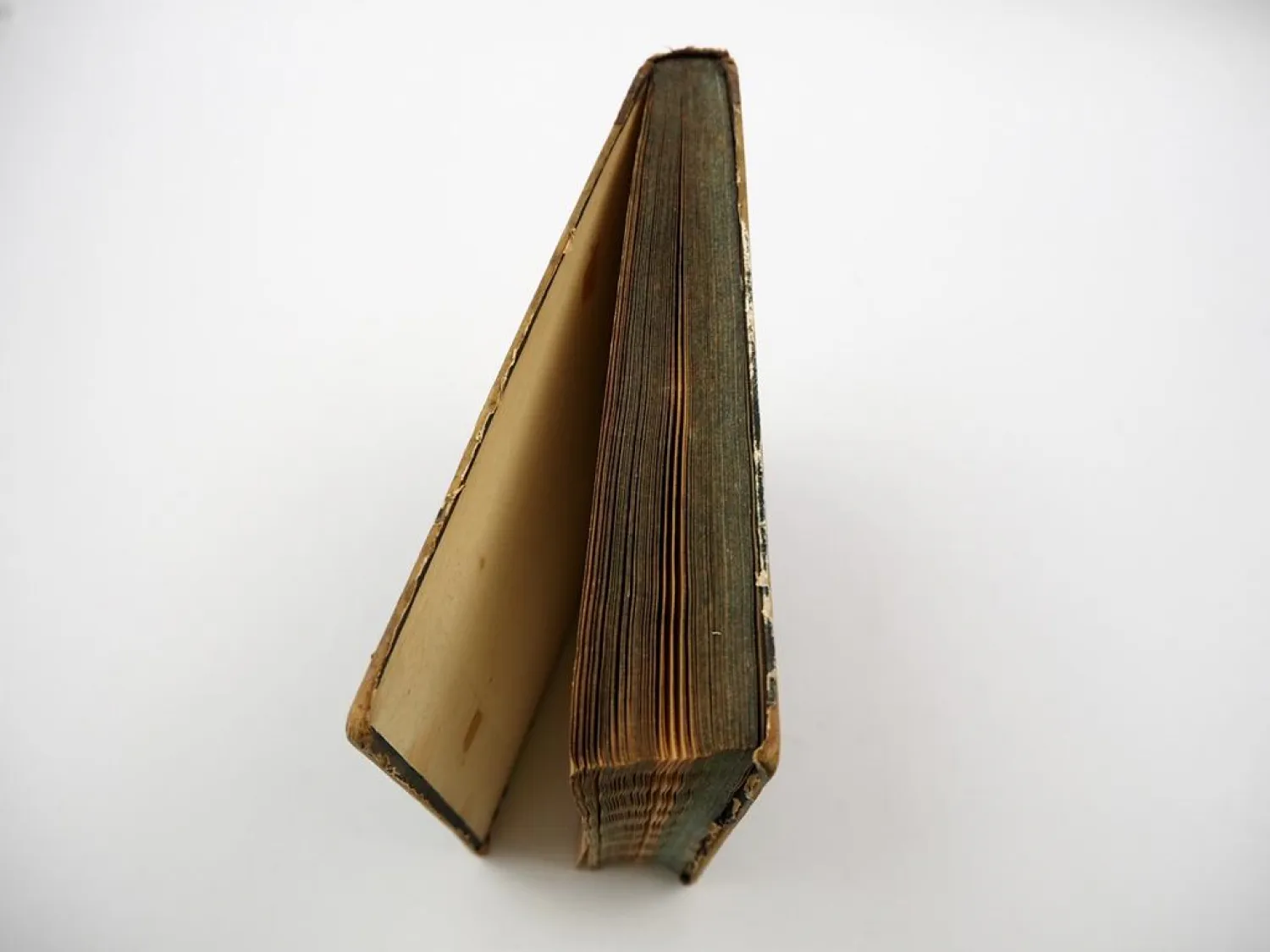 Orig. Buch Georg Wolfgang Knorr 1757 - 69 Muscheln und andere Geschöpfe Nürnberg