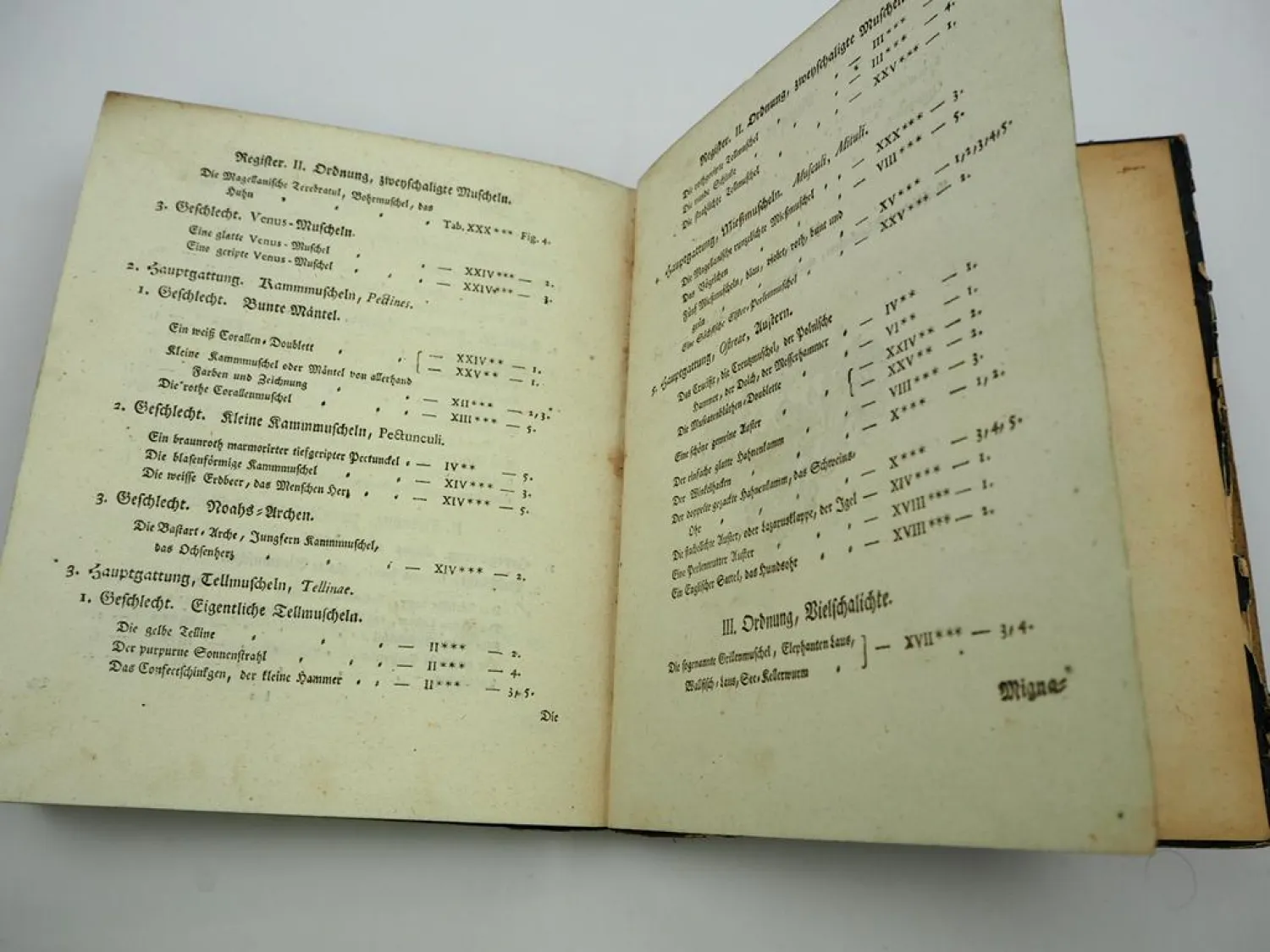 Orig. Buch Georg Wolfgang Knorr 1757 - 69 Muscheln und andere Geschöpfe Nürnberg