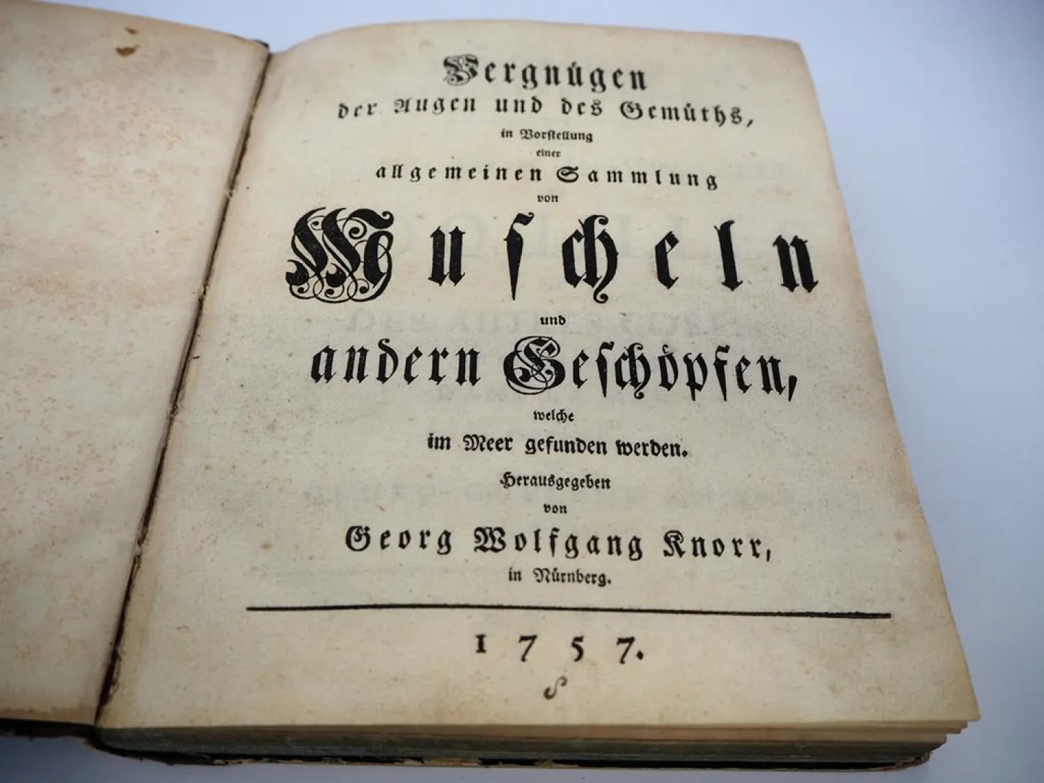 Orig. Buch Georg Wolfgang Knorr 1757 - 69 Muscheln und andere Geschöpfe Nürnberg
