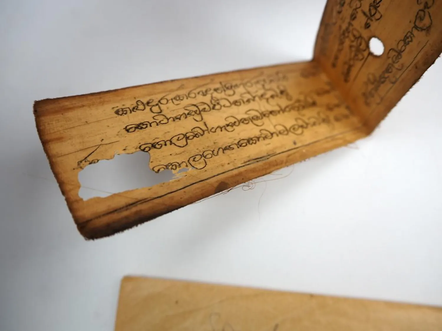 Orig. Indische Pali Schrift auf Palmblatt Ceylon 19. Jh. Sammlung H. Weigold