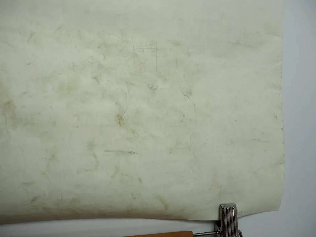 Original Ausstellung Plakat De Lusthof Museum Boymans Beuningen Rotterdam 1964