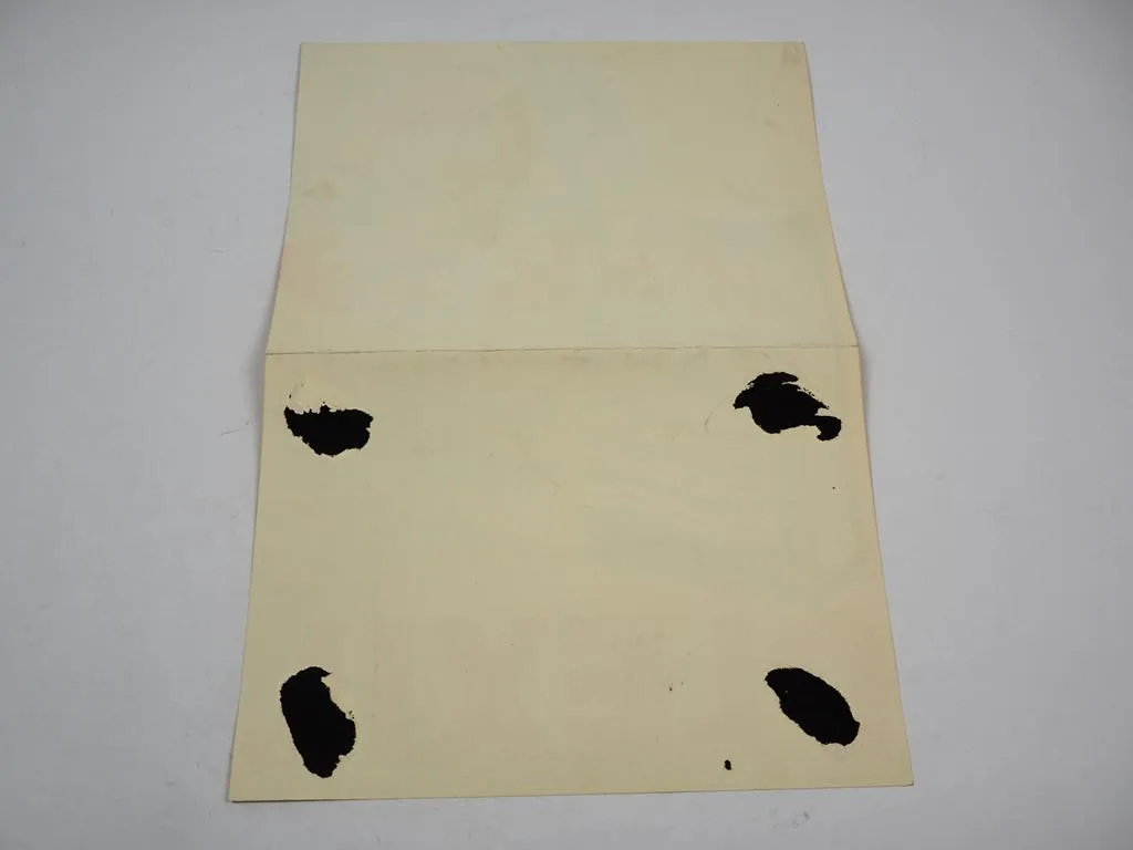 Plexil Waschmittel Werbung Poster Plakat 1950er Jahre