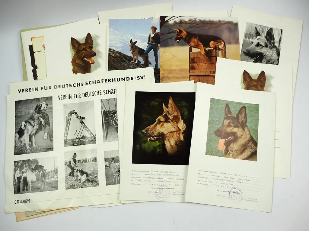 Posten Urkunden Verein für deutsche Schäferhunde 1960er bis 1990er Jahre