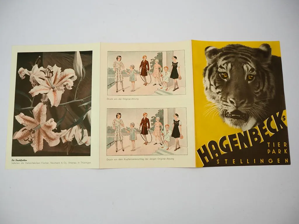 Prospekt Druckmaschine Sturmvogel Koenig & Bauer AG Würzburg