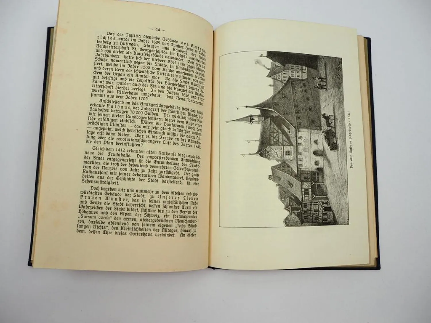Radolfzell in Vergangenheit und Gegenwart 1916 Carl Diez