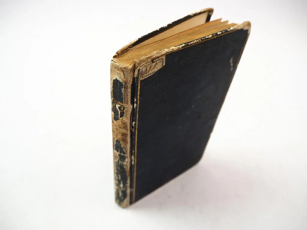 Reise und Kriegsabenteuer zu Wasser und zu Lande C. Blohm 1845 Schulze Olderburg