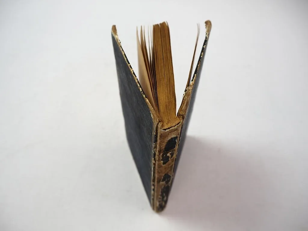 Reise und Kriegsabenteuer zu Wasser und zu Lande C. Blohm 1845 Schulze Olderburg