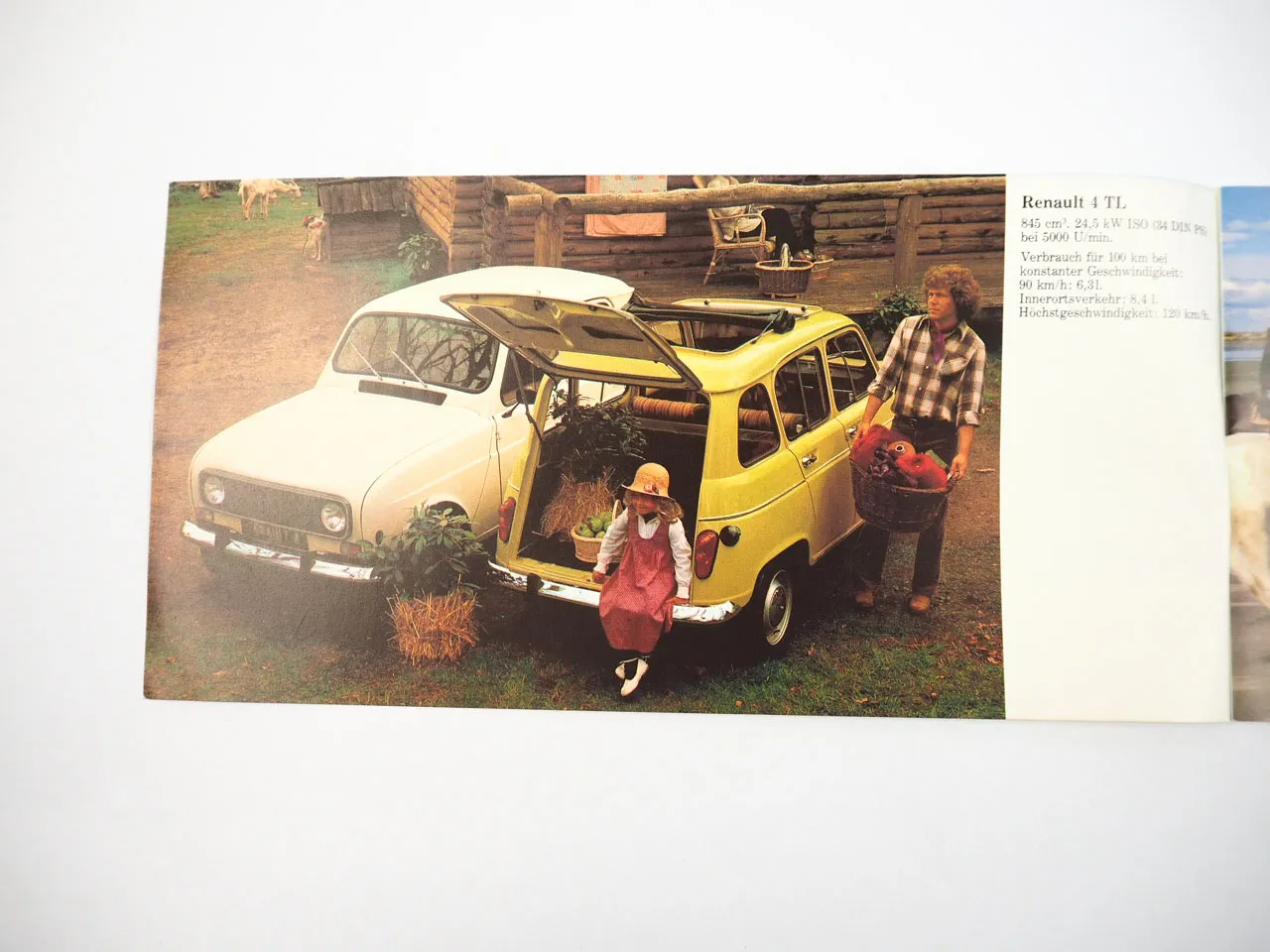 Renault 4 5 14 18 20 30 A310 Estafette Programmübersicht PKW Prospekt 1980