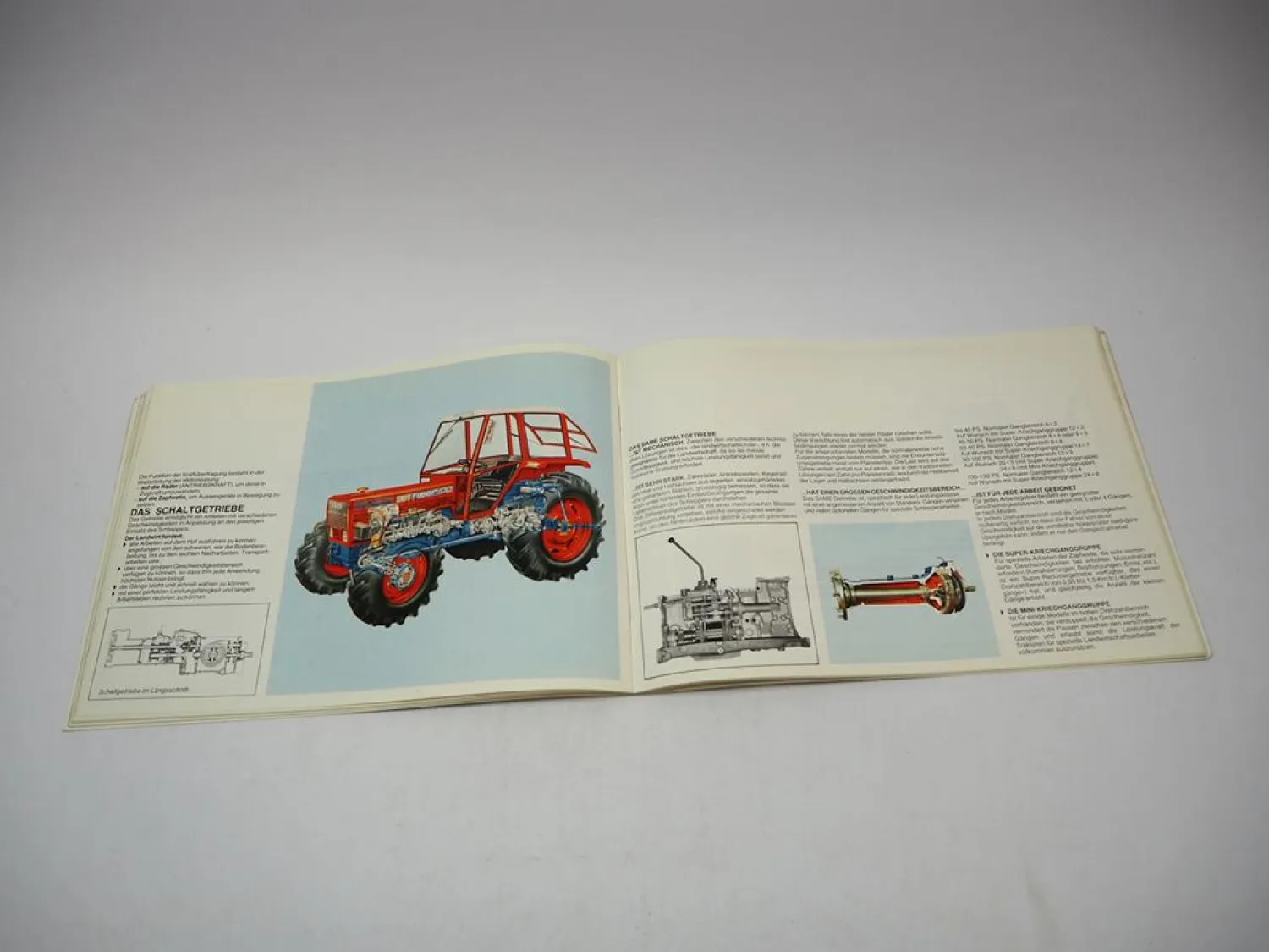 Same Panther Leopard Tiger Corsaro Cassani Saturno Prospekt Firmengeschichte 82