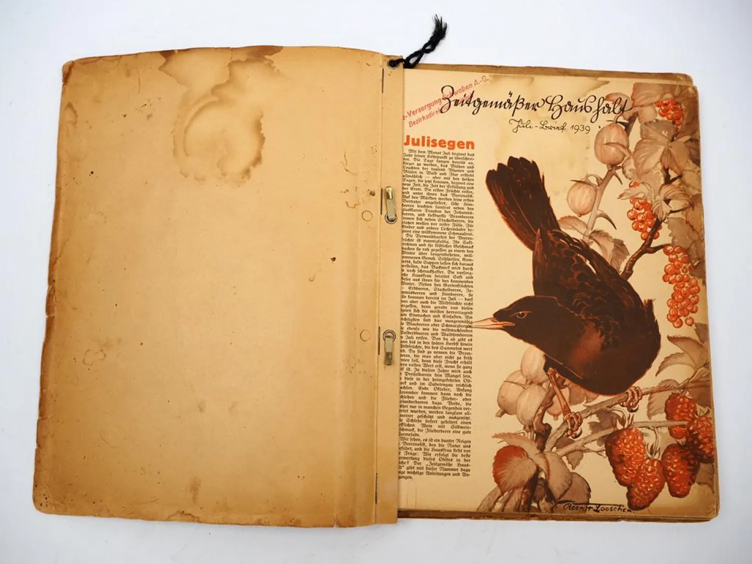 Sammelmappe mit Informationsblättern Zeitgemäßer Haushalt 1936 bis 1939 unvollständig