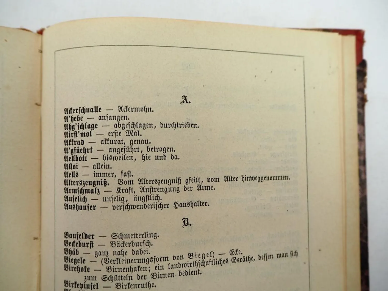 Schwäbische Dorf Predigten von C. B. Dreizler 1867 Stuttgart Mundart