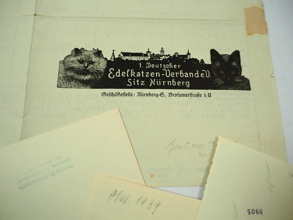 Stammbaum + 3 Fotos Siam Rassekatze 1932 Edelkatzenverband Nürnberg