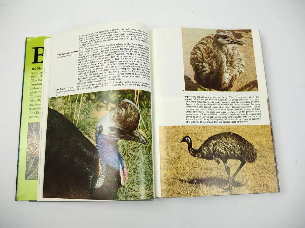 The Illustrated Encyclopedia of Birds, Jan Hanzak, Jiri Formanek, 1974